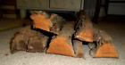 5 Pcs Of 20  Long Cottonwood Bark For Carving From Ohio River Bed-please  Read