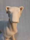 Porcelain Ivory White Male Whippet Greyhound Dog Figure Statue Rare 8-inch Tall
