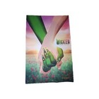 Limited Edition Wicked  For Good Print From Premiere And Limited Edition Pin