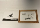Cedar Magic Vtg Lenticular Song Of Songs Kinetic Art Moving Figures -10x8  Frame