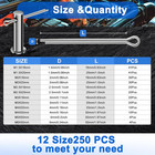 250pcs Cotter Pin Assortment Kit  12 Sizes  304 Stainless Steel  Hardware Pins