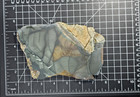 Blue Mountain Jasper Bmj Slab Unpolished Beauty Ready To Polish Or Cab   R56