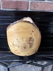 Sweet Gum Wood Bowl  Artist Signed 2007  Live Edge  Hand Turned