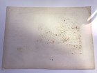 Tikopia Solomon Islands 1833 Dumont D urville Large Antique View 19th Century