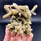 141 Gram Bunch Of Terminated Chlorine Quartz  ball Shape    Baluchistan Pakistan