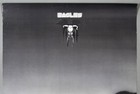 Eagles Rare Original 1975 Asylum warner-pioneer Promo Poster One Of These Nights