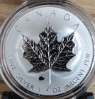 2009 Canada  5 1oz Ox Privy Mark Silver Maple Leaf Bullion Coin 8 000 Minted