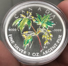 2003 Canada  5 1oz  9999 Silver Proof Maple Leaf Coloured Coin With Ogp   Coa