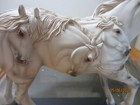 Trail Of Painted Ponies - Dance Of The Lipizzans