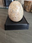 Polished Fossil Egg  Heavy Solid  Decor Limestone Marble Rock Stone