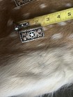 Western Star Conchos  Set Of 7  