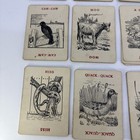 Vintage 1940   s - The Game Of Zoo - Card Game - In Good Condition