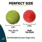 Balk Dog Toy Balls - 4 Pack - Dog Toy Balls For Aggressive Chewers - Durable