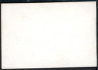 1915 Ppie Pan Pacific Expo Fair San Francisco Personal Photo Snap Shot