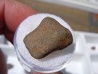 3 98 Grams Gao Guenie Meteorite As Found Olivine-bronzite Chondrite  h5  W  Coa