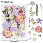 50pcs Dried Pressed Flowers Resin Mould Real Natural Purple 