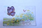  Embossed Unused Postcard Greetings To All Floral Butterfiles  684c Vintage