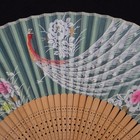 Vintage Folding Hand Fan Ivory W hand Painted Peacock  Flowers   Pale Blue Silk