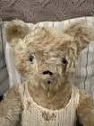 Antique 22    Fully Jointed Mohair Teddy Bear With Glass Eyes   Hump