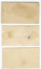 Victorian 3 Name Calling Cards 1880 s Ice Skaters Women Dog Flowers