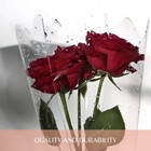 Clear Flower Bags 100 Count 9x2 6x16 Inch Bouquet Sleeves For Florists