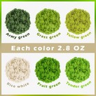 6 Colors Preserved Moss-16 9 Oz Natural Reindeer Moss-moss For Crafts  Potted   
