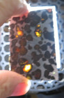39 Gm Sericho Pallasite Meteorite Slice Translucent From Kenya Std Olivine Jal