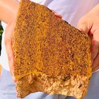 4 04lb  Natural Coquina Jasper Lapidary  Rough Slab Display Collectibles