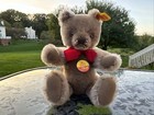 Steiff Original Teddy Bear Plush Miniatures German Doll 0202 18 - 7 