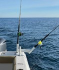 Dev Fishing Dph 100 Duel Rod Trolling Spreader Outrigger Boat 2 Pole Holders