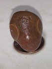 Polished Brown Tumbled Stone crystal Mineral Specimen Circular Markings Display