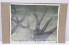 Original Hand Painted Animation Production Background  229-46 