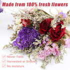 10 Pack Dried Flower Bouquets Mini Dried Flower With Stem Forget Me Not Dried Em