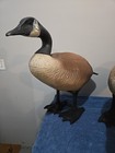 Clinton Decoys Unlimited Standing Goose Pair Set 1985 