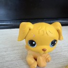 Rare 2004 Littlest Pet Shop Golden Retriever Dog Blue Eyes 21 Lps Puppy 2004