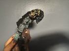 Custom Neca Predator  read Description 