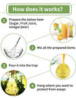 Hanging Outdoor Wasp   Fly Trap For Yellow Jackets  Hornets  Non-toxic Reusable