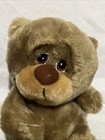 Vintage 1983 Applause Boo Boo Bunch Teddy 8  Plush Stuffed Bear