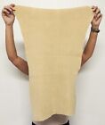 Braintan Deerskin Leather Hide For Native Crafts Buckskin Laces Bags Taxidermy