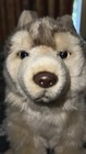 Webkinz Signature Timber Wolf