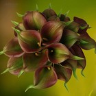 20pcs Artificial Calla Lily Bridal Wedding Bouquet Pu Latex Real Touch Flower   
