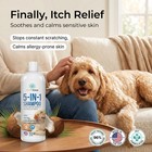 16 Floz 5 In 1 Dog Shampoo For Itchy Skin - Sensitive Skin Dog Shampoo For Sm   