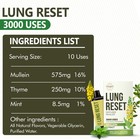 Lung Detox Rechargeable Mullein Diffuser Pen   Natural Leaf   Green 