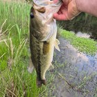 Bass Fishing Brush Jigs Living Rubber  1 4 To 1 Oz  13 Color Options Hand Tied