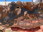 Colorful Agates From O6 Kokernot West Texas Ranch  Agate Rough Lapidary Rock