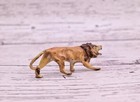 Gorgeous Antique Austrian Vienna Cold Painted Bronze Figure Of Male Lion