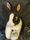 Webkinz Signature Dutch Bunny Rabbit Nwt   Unused Code  Fast Ship  Smoke-free