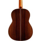 Cordoba C10 Cd Nylonstring Classical Acoustic Guitar Natural 197881568337 Rf