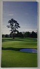 2009 Masters Golf Tournament Spectators Guide Augusta National Course Pga