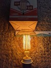 Luminance L5168 Vintage Edison Filament 60 Watt Light Bulb